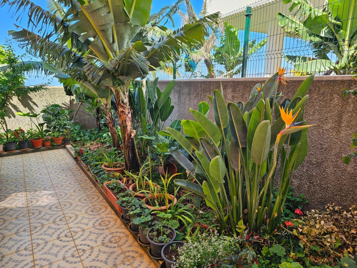 Villa Casa De Feria Do Livramento Funchal  Esterno foto